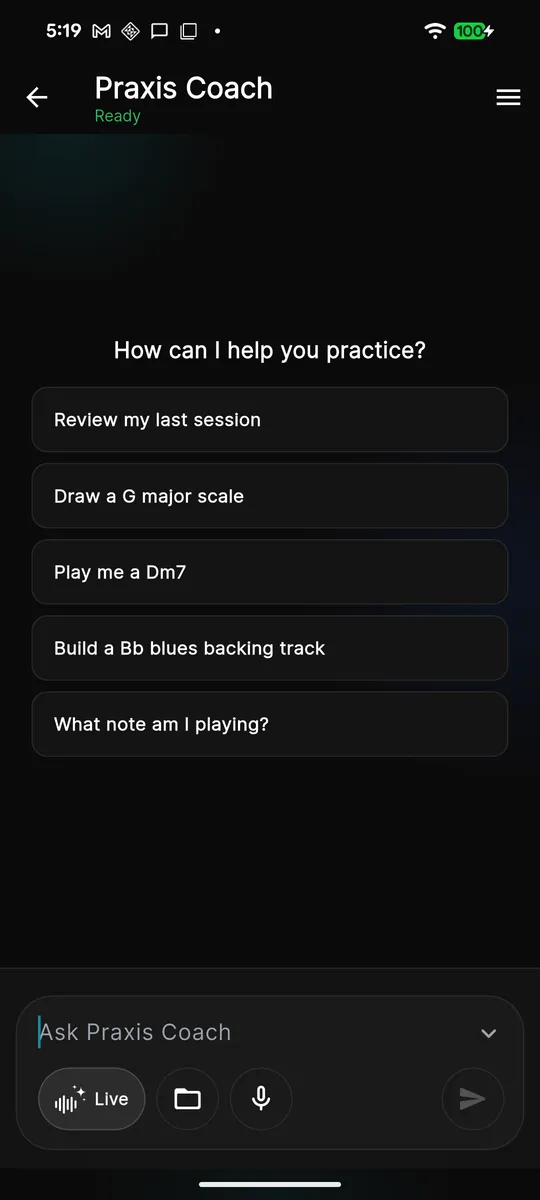 The Praxis Coach — ask by text or Live voice